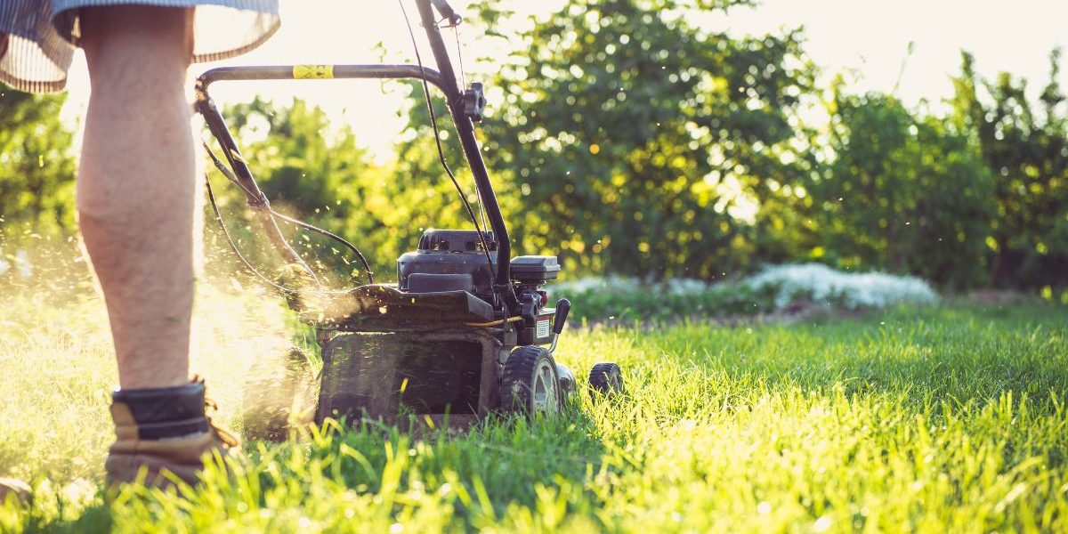gras onderhouden door gras te maaien met grasmaaier