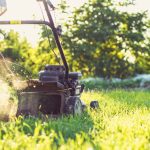gras onderhouden door gras te maaien met grasmaaier