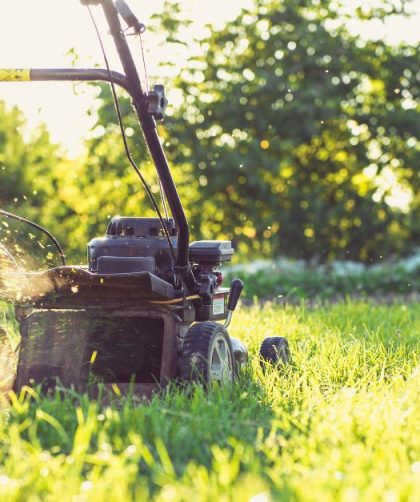 gras onderhouden door gras te maaien met grasmaaier