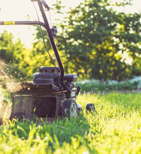 gras onderhouden door gras te maaien met grasmaaier