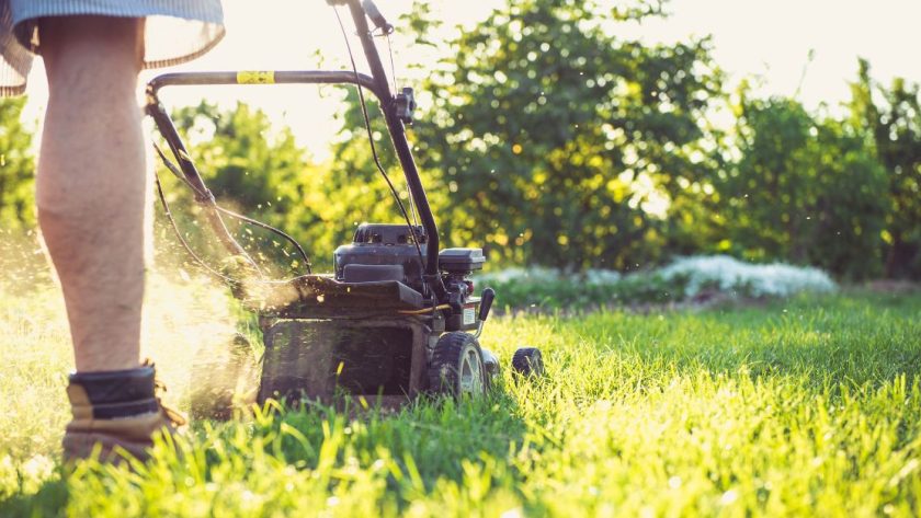 gras onderhouden door gras te maaien met grasmaaier